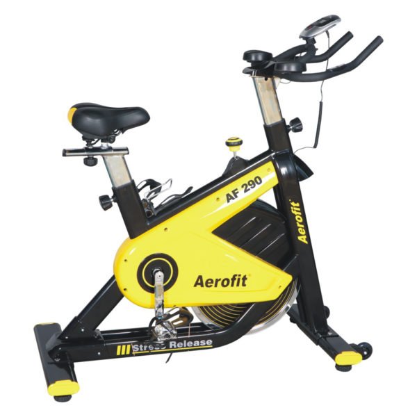 AF 290 Spin Bike
