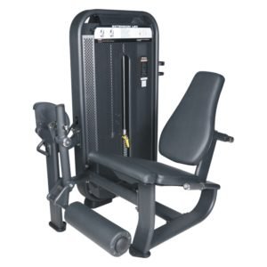 AF 4602 Leg Extension