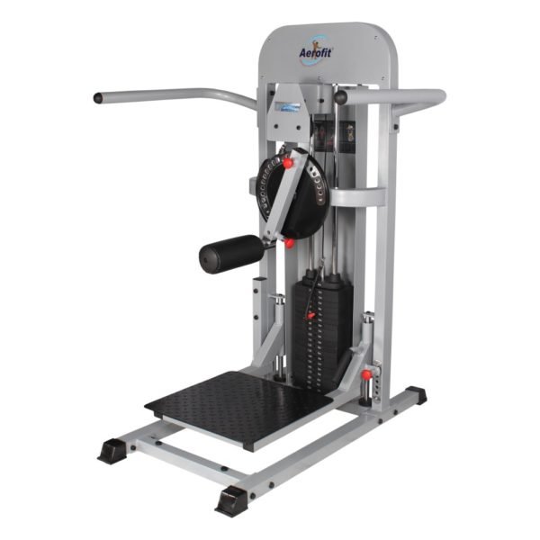 CT 2026 Multi Hip - (SO)